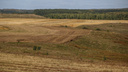 Крупнейший урожай зерна в Нижегородской области обернулся миллиардными убытками. Аграрии не могут его продать