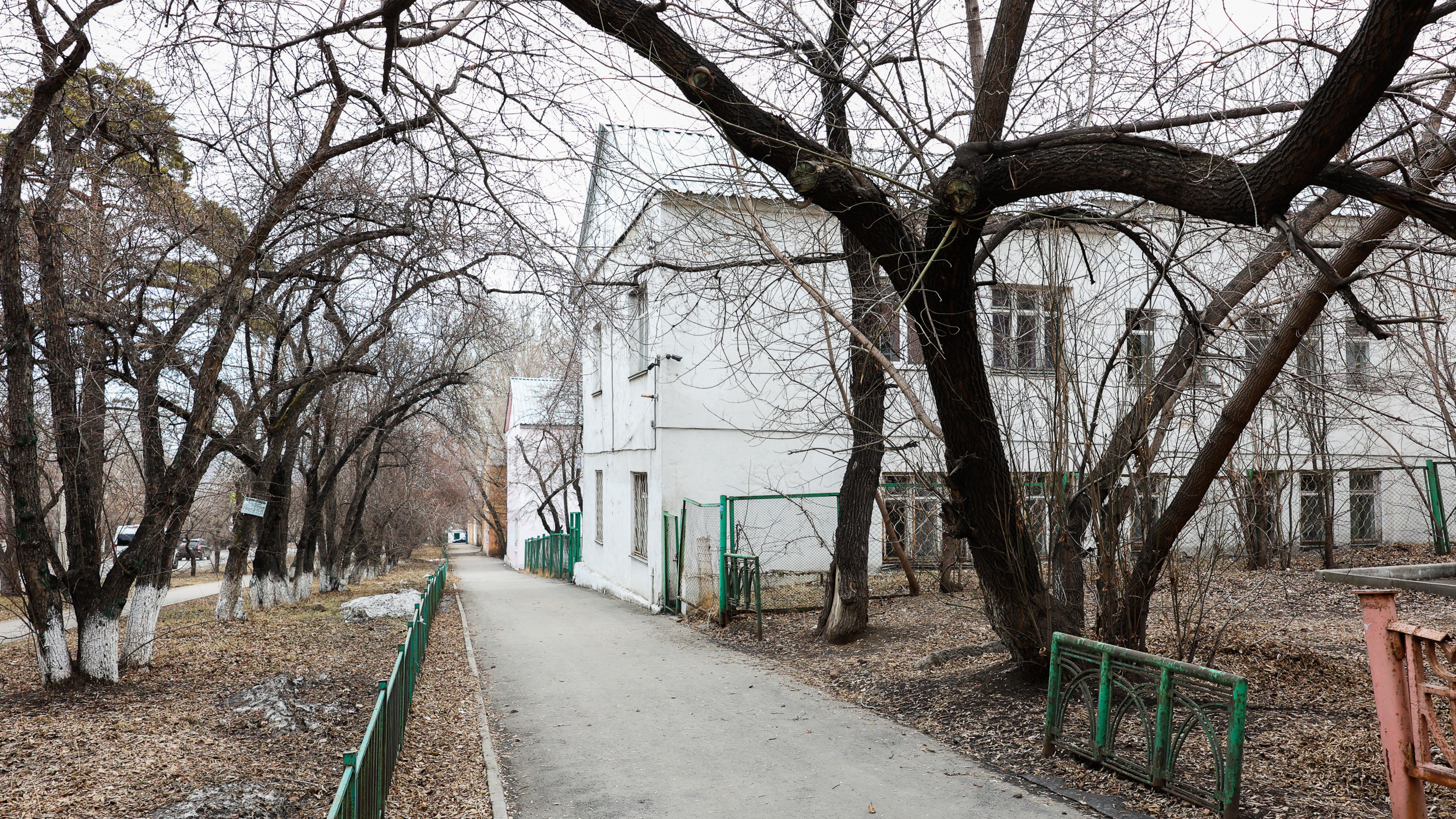 Похожие дома, гаражи и кот-экскурсовод. Разглядываем кусочек улицы Маяковского напротив Кайской рощи в Иркутске