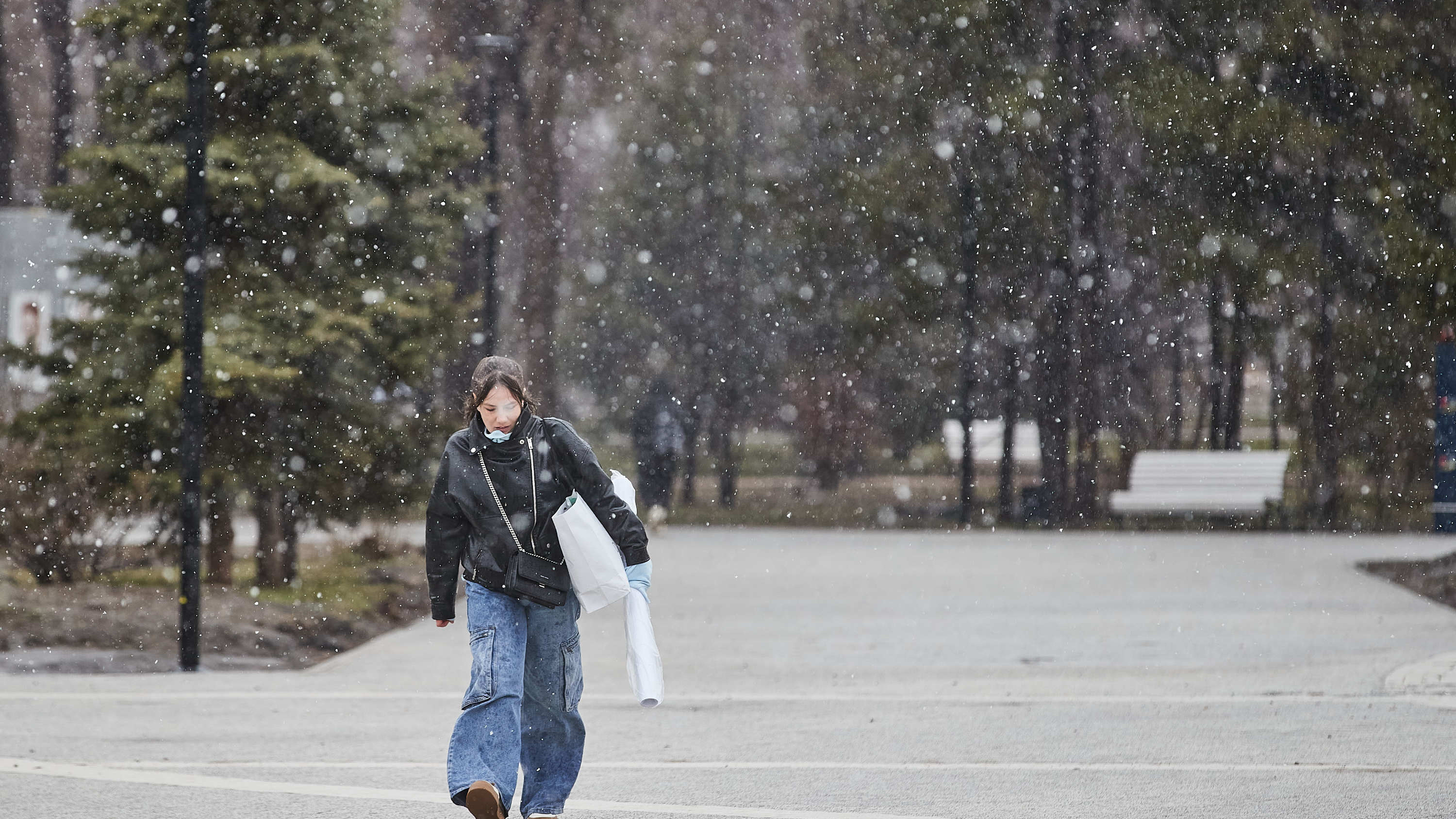 Зима вернулась: снегопады обрушились на Новосибирск и область — фото и видео непогоды