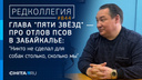 «В Чите примерно 10 тысяч дворняг»: глава «Пяти звезд» — о том, как избавить город от собак