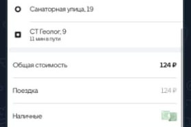 Стоимость заказа составила 124 рубля Стоимость заказа составила 124 рубля