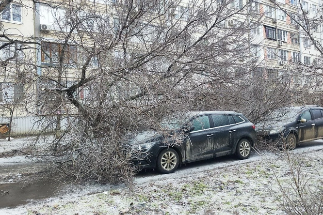 Дождь автомобиля