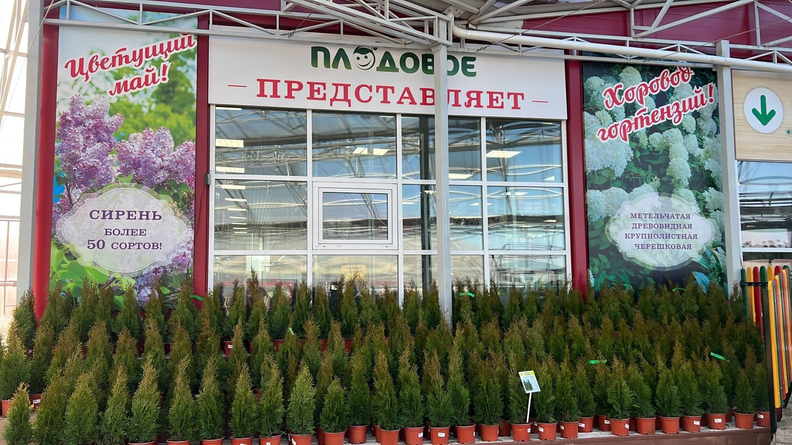 В «Плодовом» можно приобрести цветы, деревья и травянистые растения В «Плодовом» можно приобрести цветы, деревья и травянистые растения
