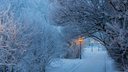 Зимняя сказка в Архангельске: смотрите, как красив наш город, окутанный снегом и инеем