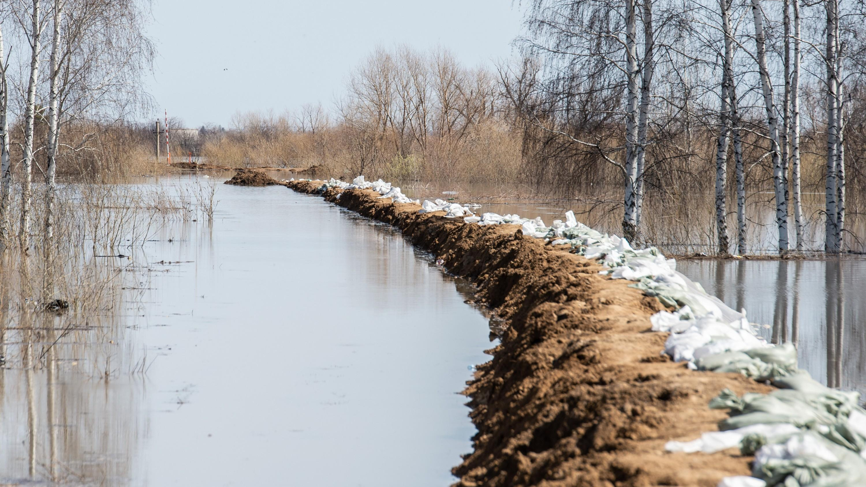 Реки продолжают бить все рекорды. Главные новости о паводке в Тюменской области