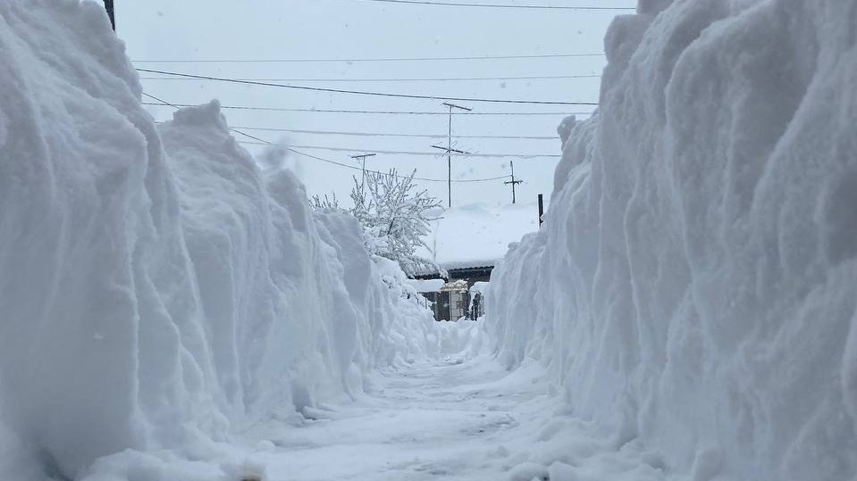 А куда делся Екатеринбург? Город завалило снегом (и деревьями): 30 фото