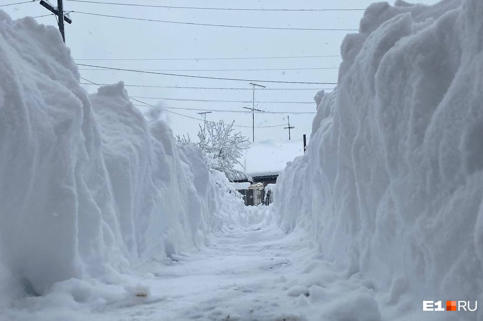 А куда делся Екатеринбург? Город завалило снегом (и деревьями): 30 фото