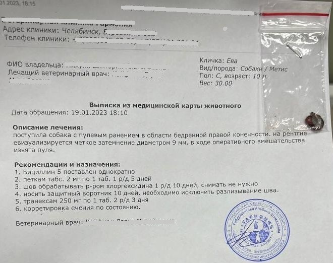 Выписка из медицинской карты Евы и извлеченная пуля (справа в пакетике) Выписка из медицинской карты Евы и извлеченная пуля (справа в пакетике)