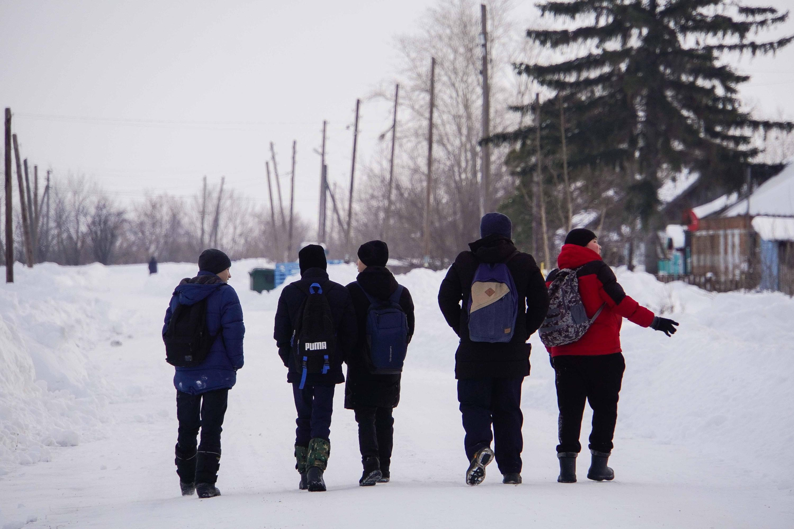 Что помогает собаке идти по следу. Собака идет по следу. Собака идет по следу. Собака идет мультяшная. Бигль рыжий.