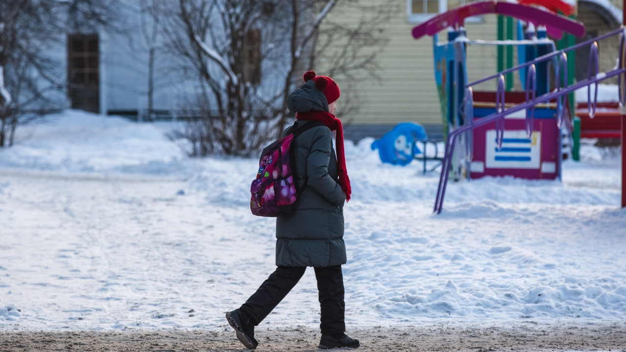 «Сократим уроки»: в Ярославле из-за морозов изменят расписание в школах