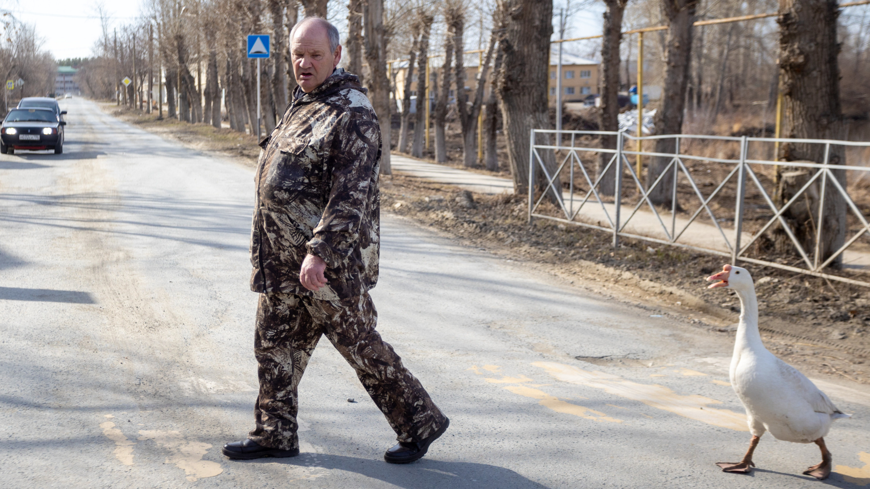 «Жену столько не обнимаю, сколько его». На Урале пенсионер воспитал маленького гуся и обучил командам (милое видео)