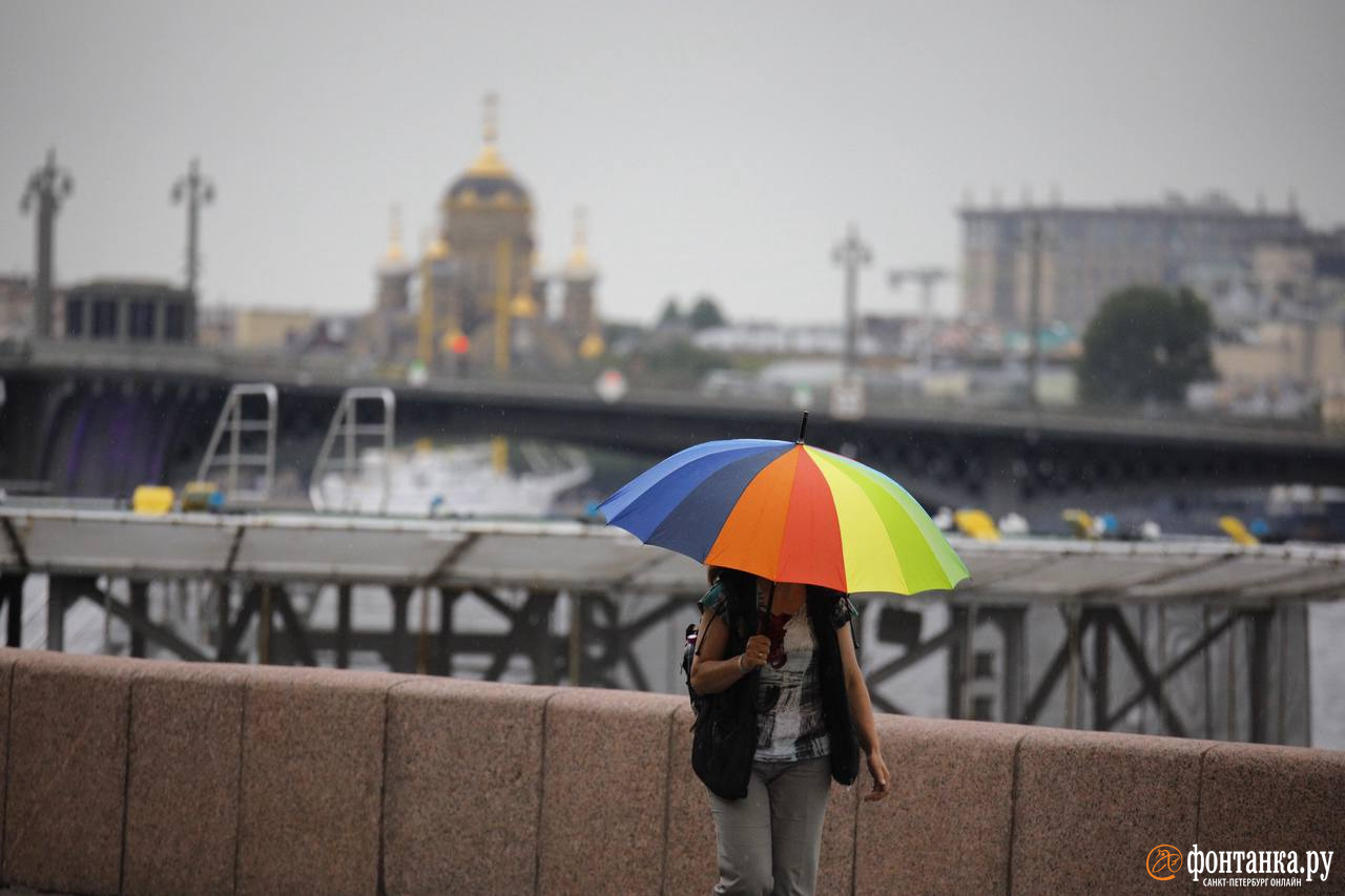 Дождь в Петербурге на карте «Яндекс.Погоды» — как будто над городом зонтик  - 17 июня 2024 - ФОНТАНКА.ру