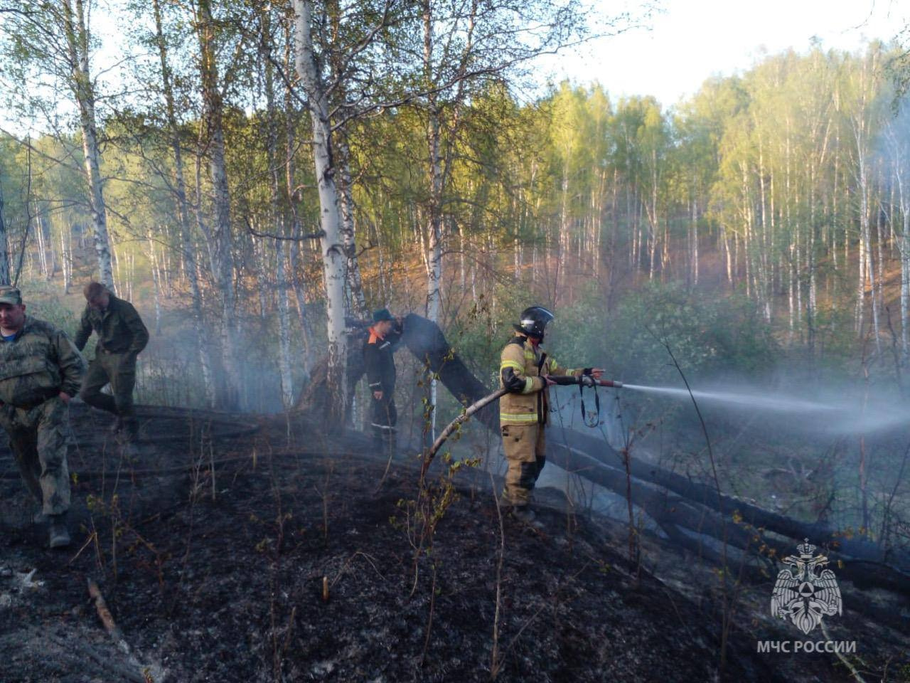 Спасатели поймали мужчину, устроившего огромный пожар в уральском лесу