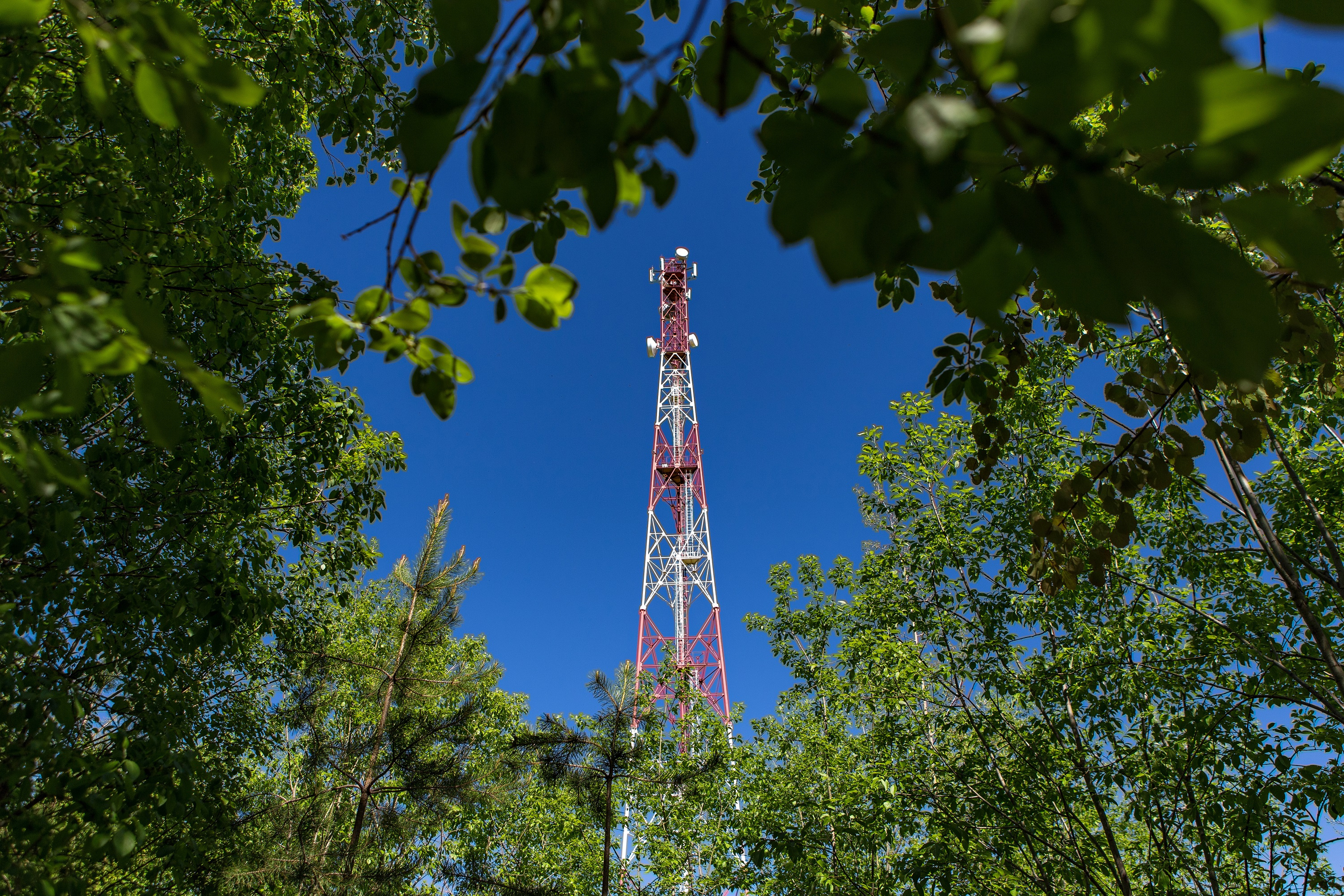В национальном парке «Ивано-Арахлейский» обновили телеком-оборудование