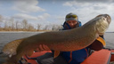 «Мамаша огромная»: новосибирский рыбак поймал огромную щуку весом почти 12 килограммов