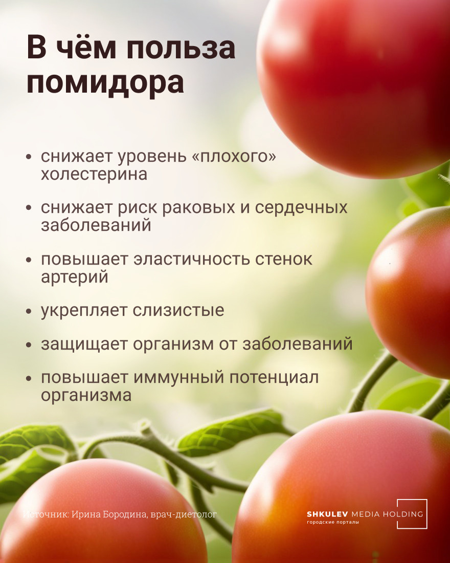 Чем могут быть полезны помидоры для человека