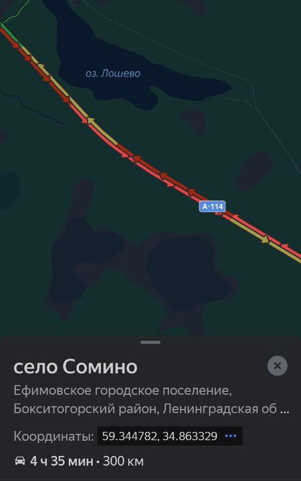 Читатели «Фонтанки»: трассу А-114 завалило буреломом