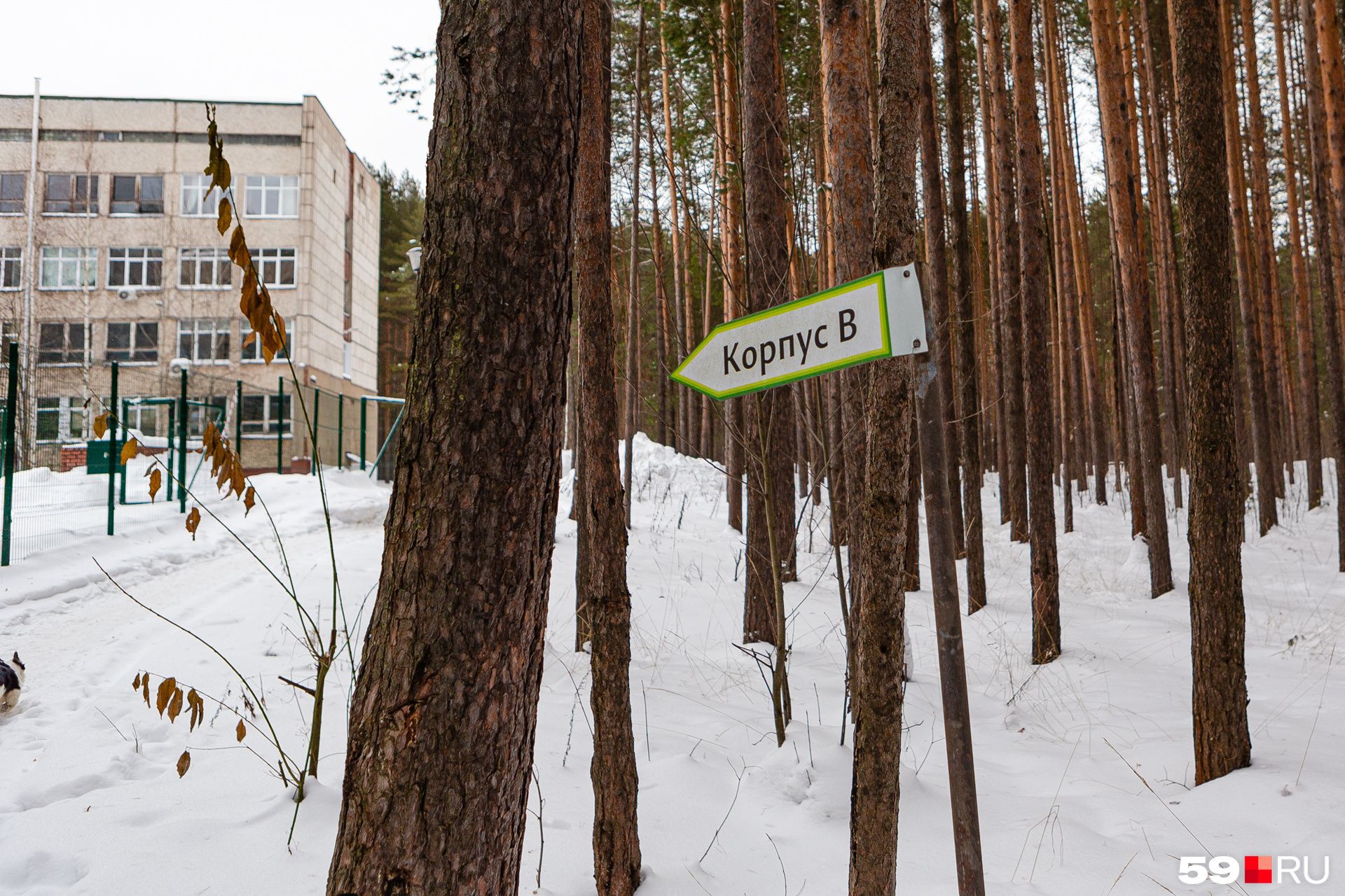 В нескольких минутах прогулки по лесу — корпусы политехнического университета В нескольких минутах прогулки по лесу — корпусы политехнического университета