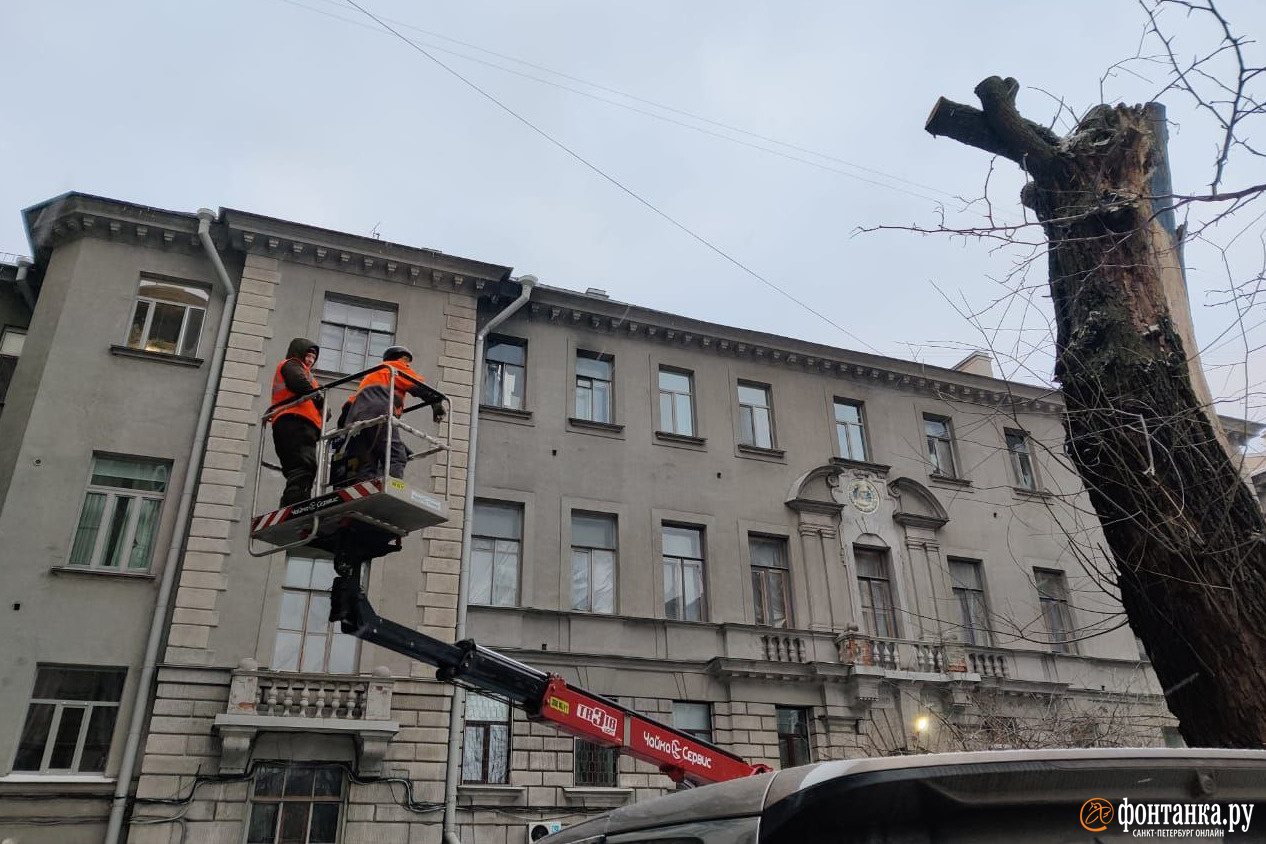 Садовники вернулись в сад дома Пеля. В этот раз полиция увезла активистку |  07.02.2024 | Санкт-Петербург - БезФормата