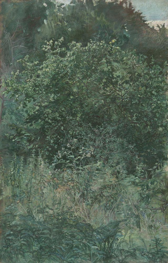 Яремич. Зелень. 1897