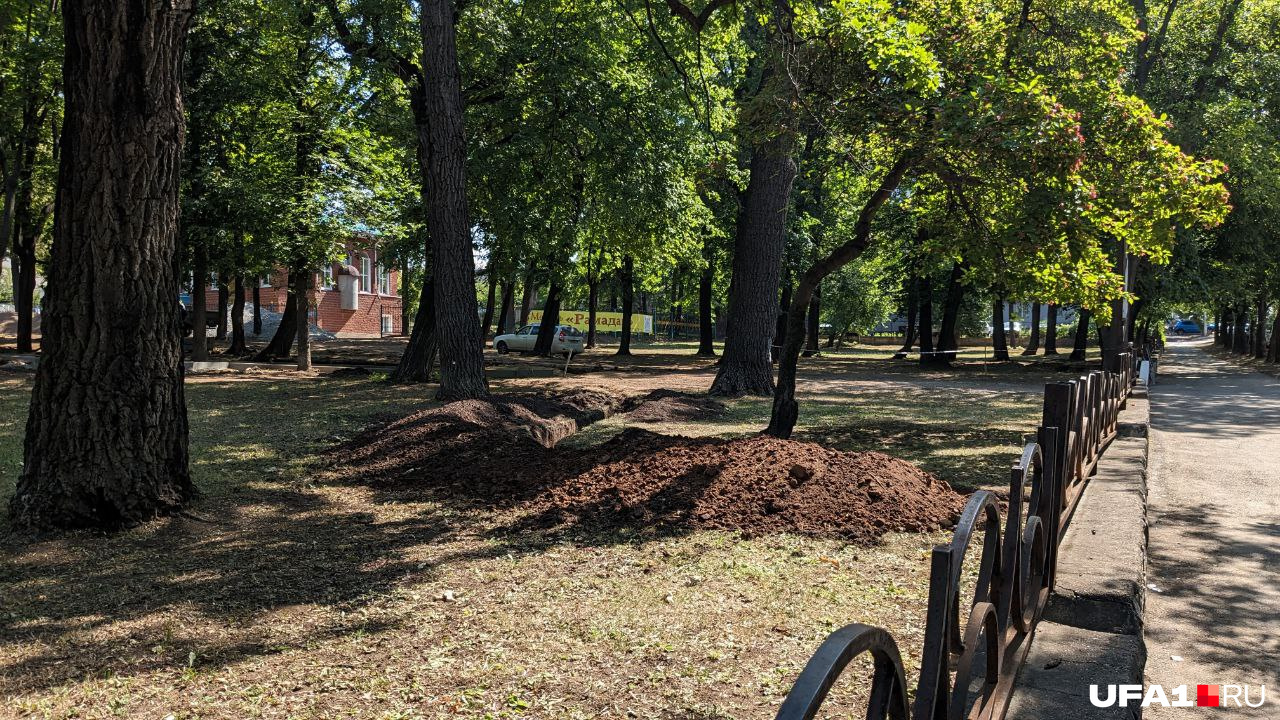 Сад славится липовыми деревьями