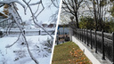 В области — зима, в Архангельске — осень: показываем, какие это разные пейзажи