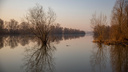 Готовьтесь спасаться: на малых реках Волгоградской области резко поднялся уровень воды