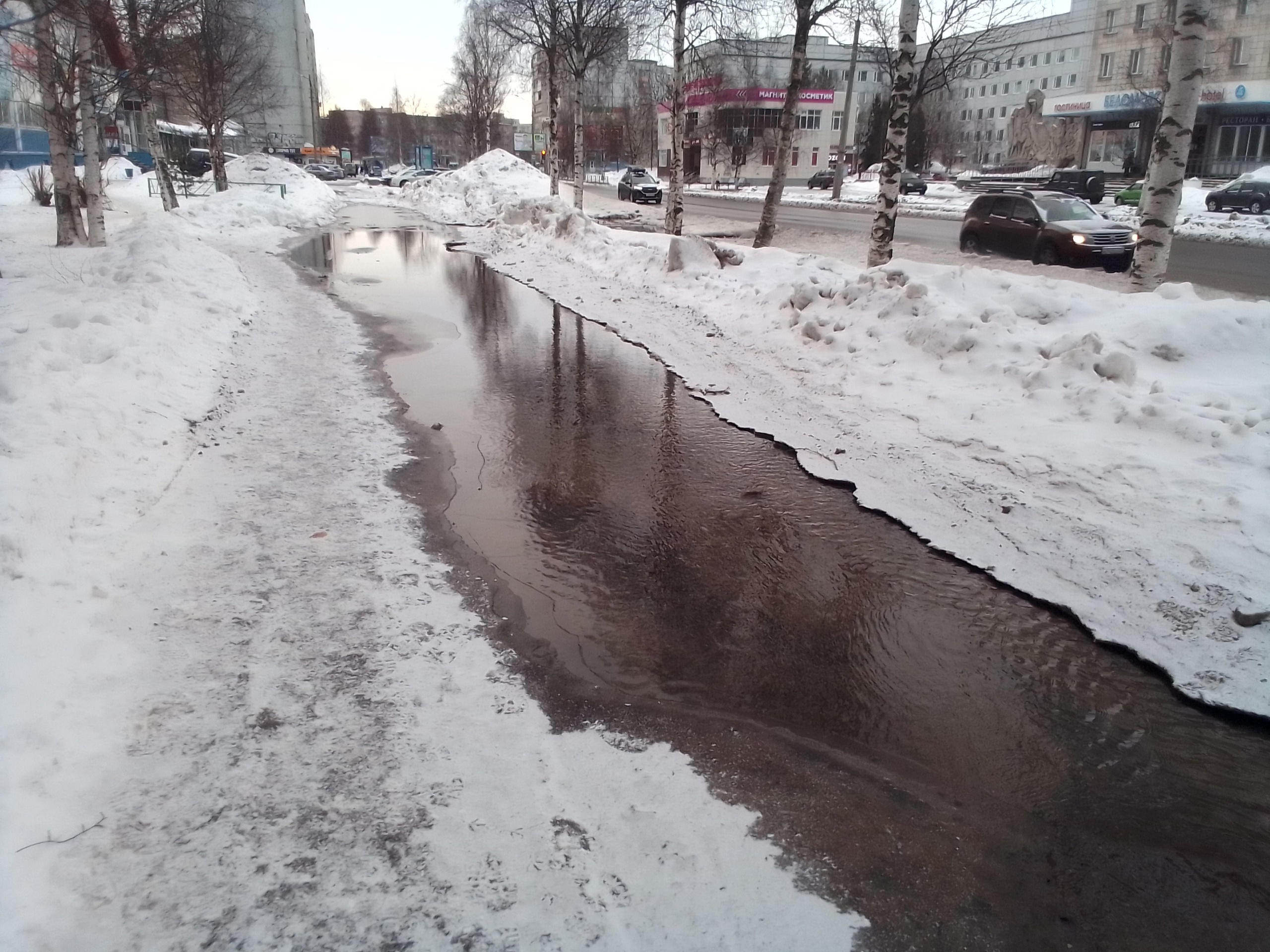 В Архангельске затопило тротуар на Тимме: когда устранят течь | 06.03.2024  | Архангельск - БезФормата