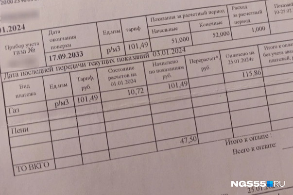 В Омске заметили новую строчку в квитанции с малопонятным набором букв — ТО ВКГО