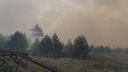 «Вызывайте вертолет!»: в Челябинской области лесной пожар вплотную подобрался к домам