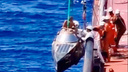 137 дней в океане: в Атлантике нашли дрейфующего на лодке человека — кадры спасения