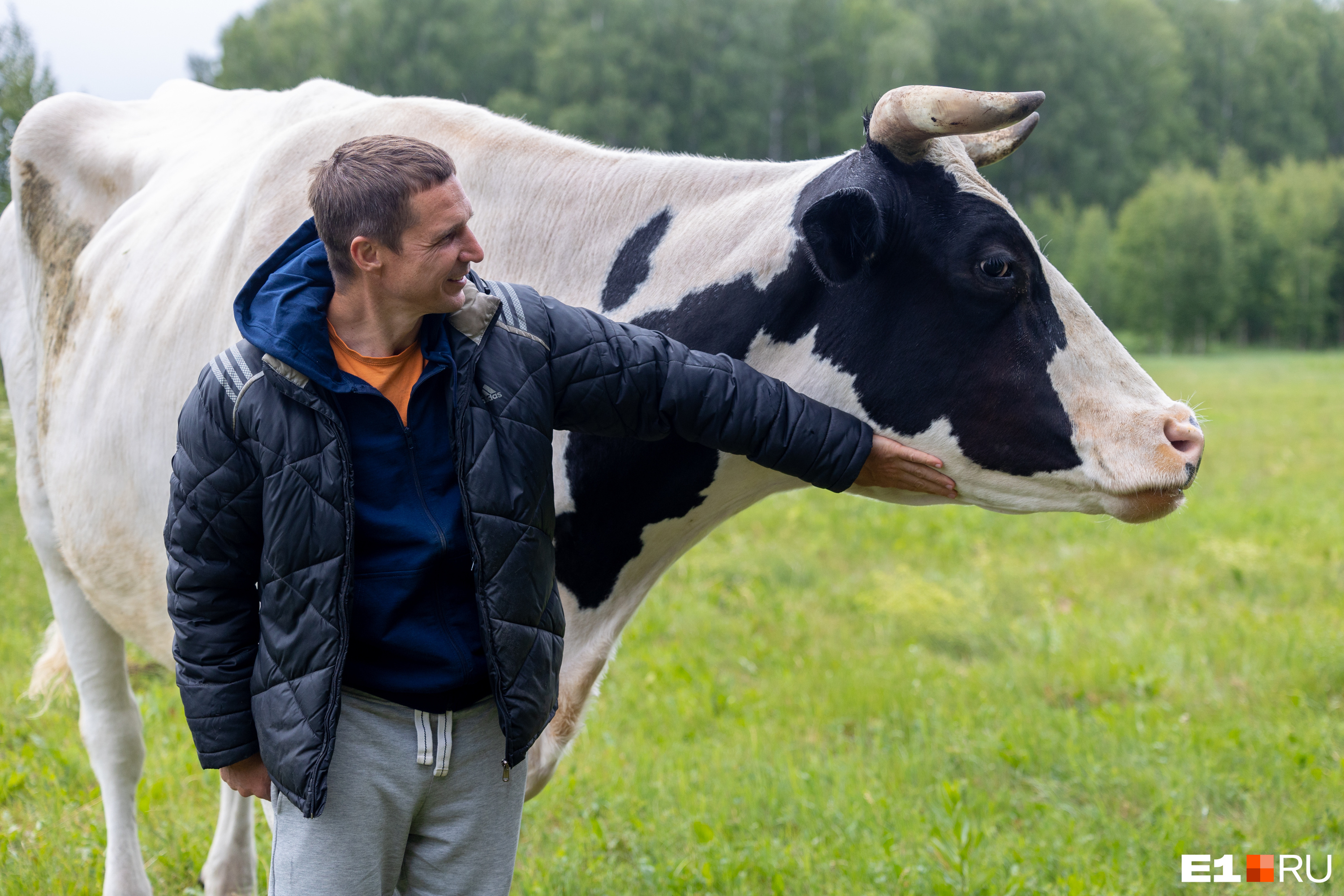 Виктор быстро нашел с коровами общий язык, хотя раньше никогда не занимался сельским хозяйством