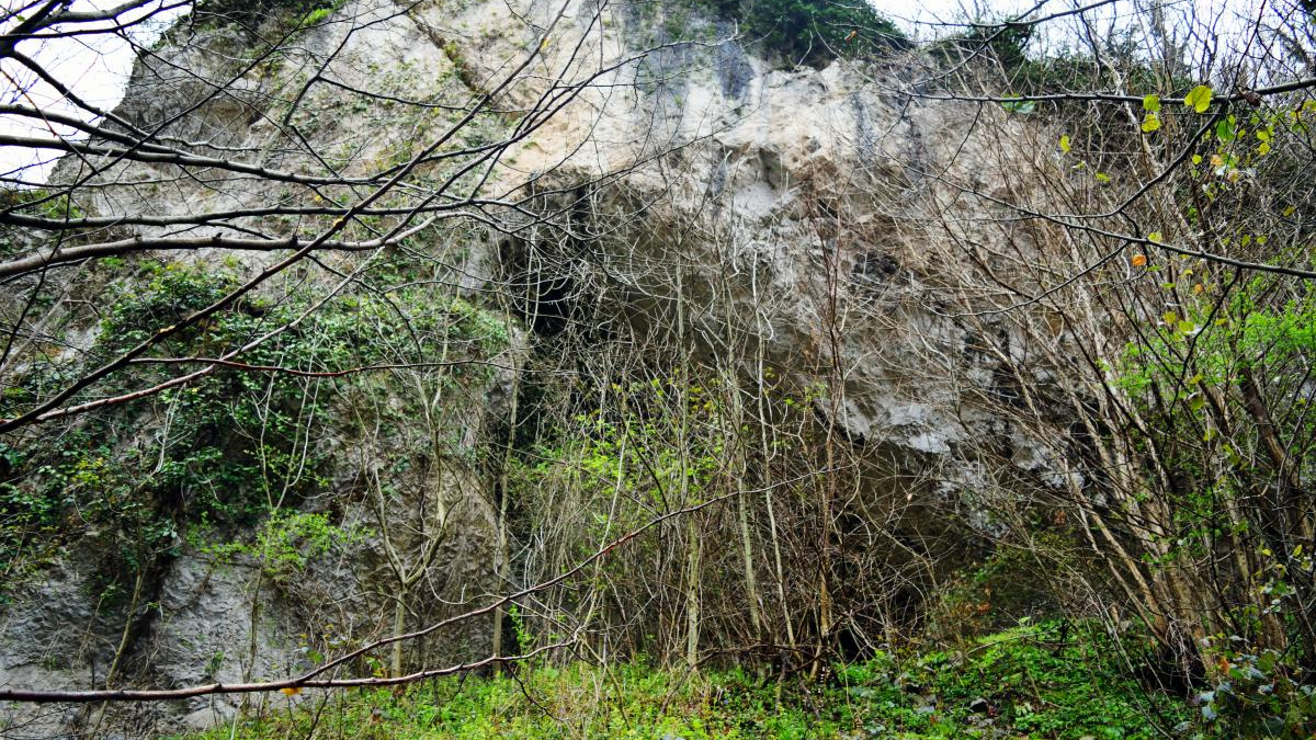 В Сочи найденная пещера получила статус памятника археологии и будет доступна для экскурсий