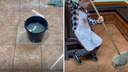 «Вооружились тряпками и ведрами»: бесплатное кафе для пенсионеров «Добродомик» затопило талой водой в Новосибирске