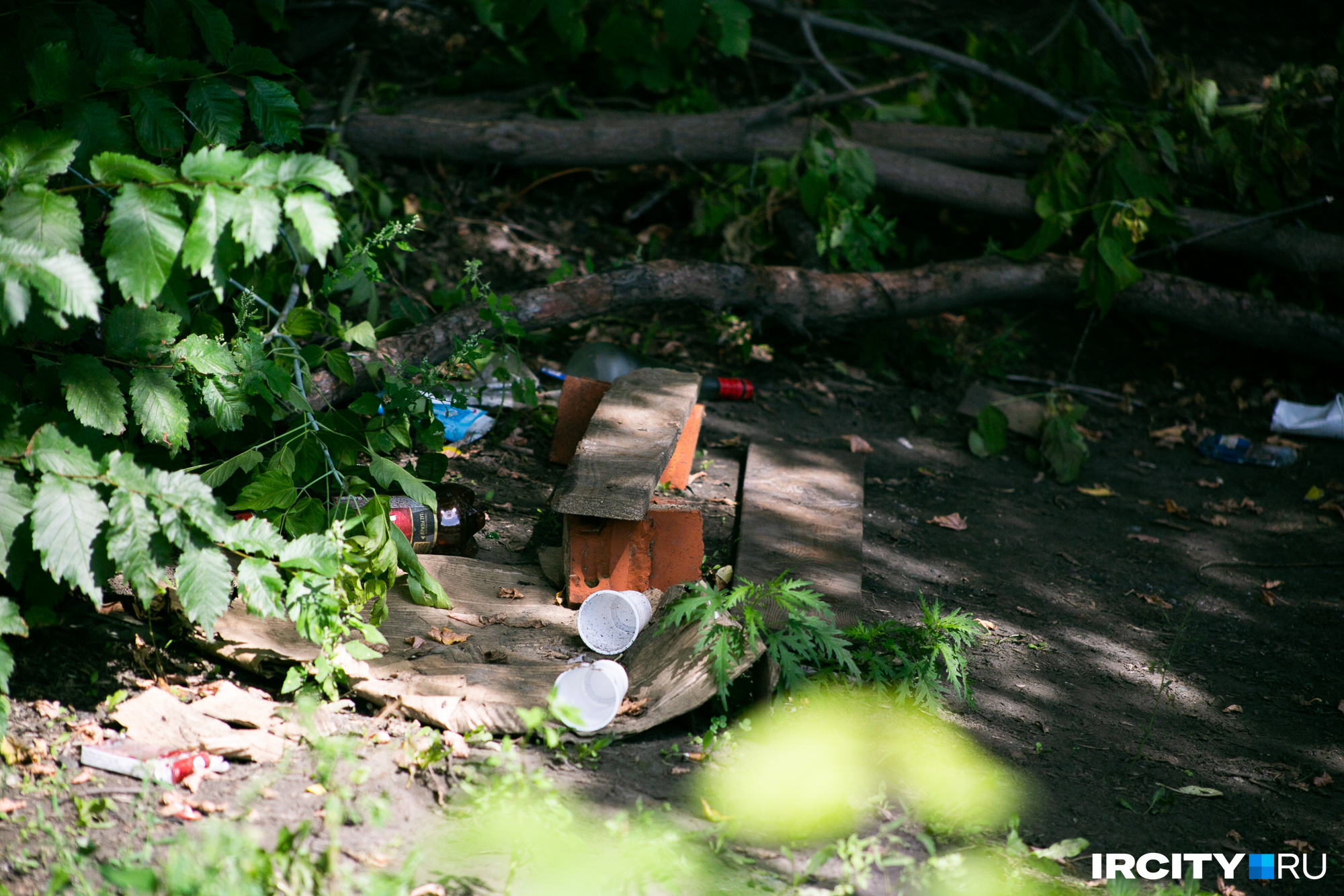 По дороге в кустах можно встретить мусор и импровизированную лавочку — здесь часто отдыхают лица без определенного места жительства