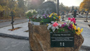 «Служба городских кладбищ» объяснила, почему сорваны сроки благоустройства ростовских Аллей Героев