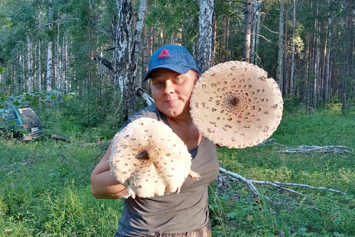 «В первый раз вижу такое». Екатеринбурженка нашла в лесу просто гигантские (!) грибы