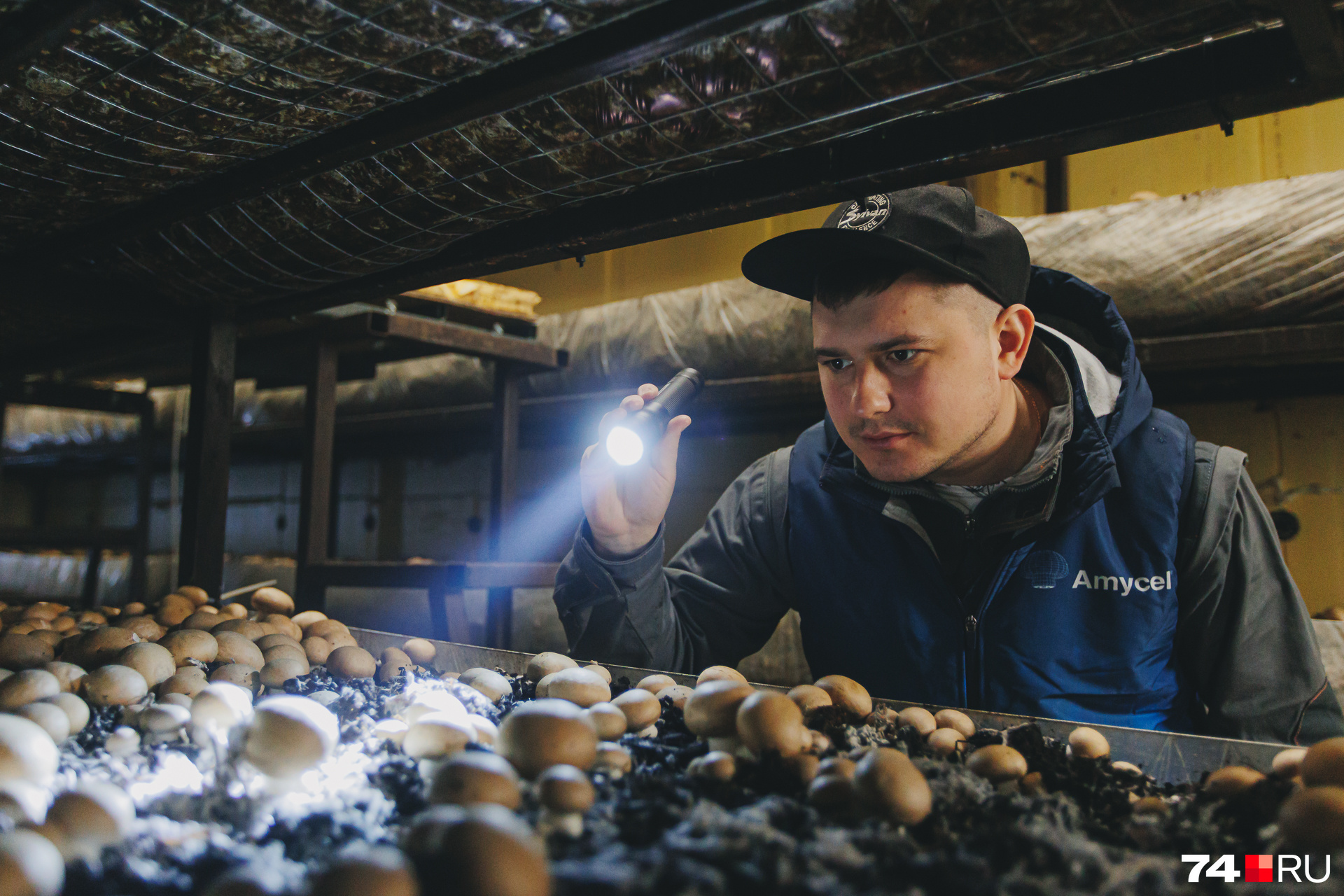 Темпы развития фермы настолько заинтересовали тульского грибовода Алексея Скоблицова, что он на несколько месяцев переехал в Челябинск