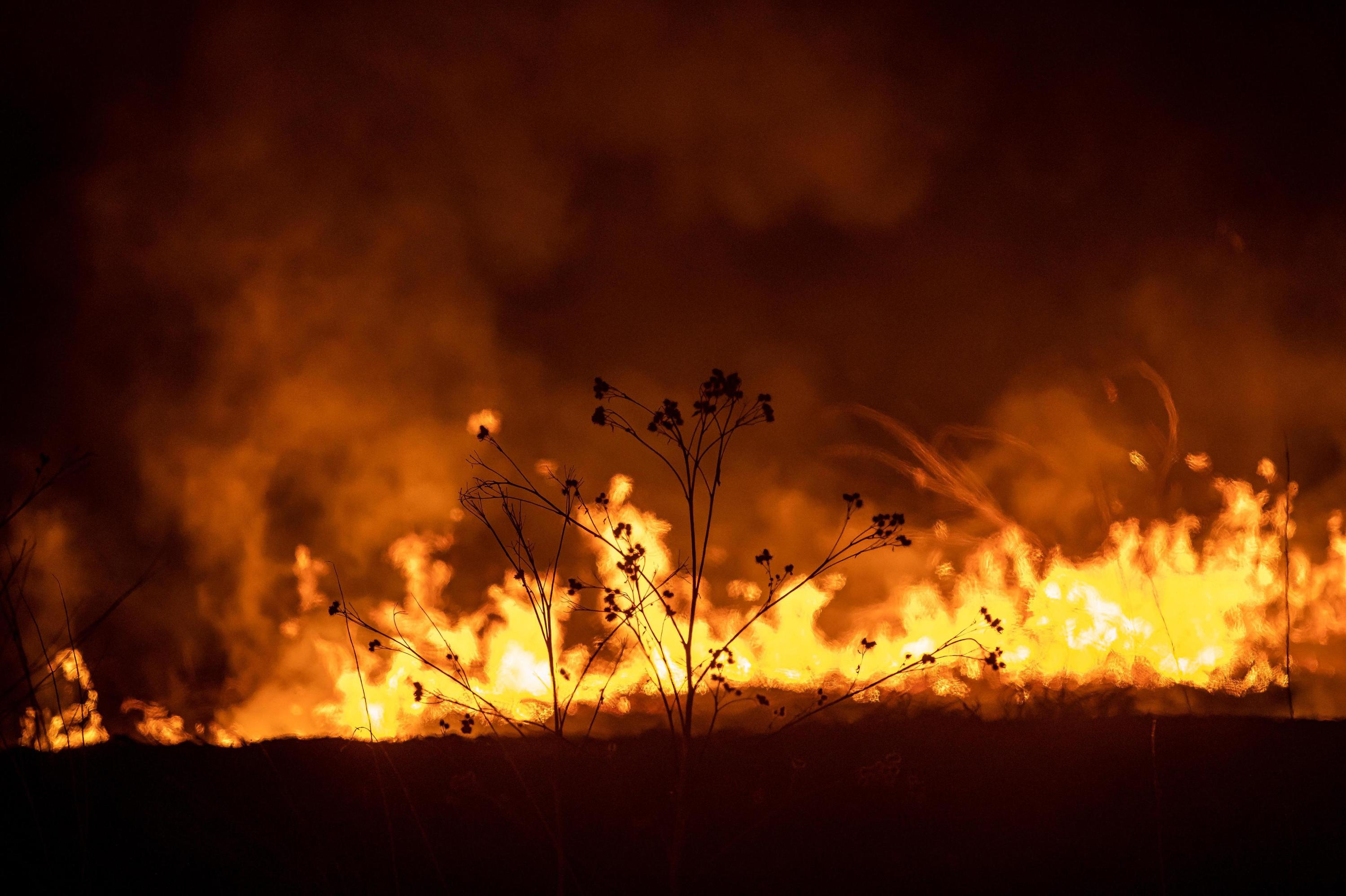 Пал травы в читинском аэропорту приняли за пожар