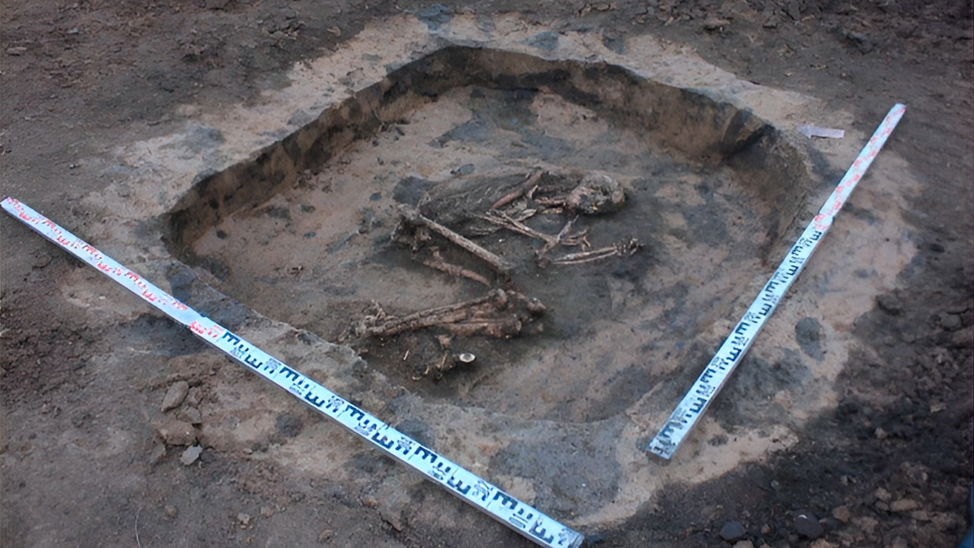 Погребения, которым около 4 тысяч лет, обнаружили в Воронежской области