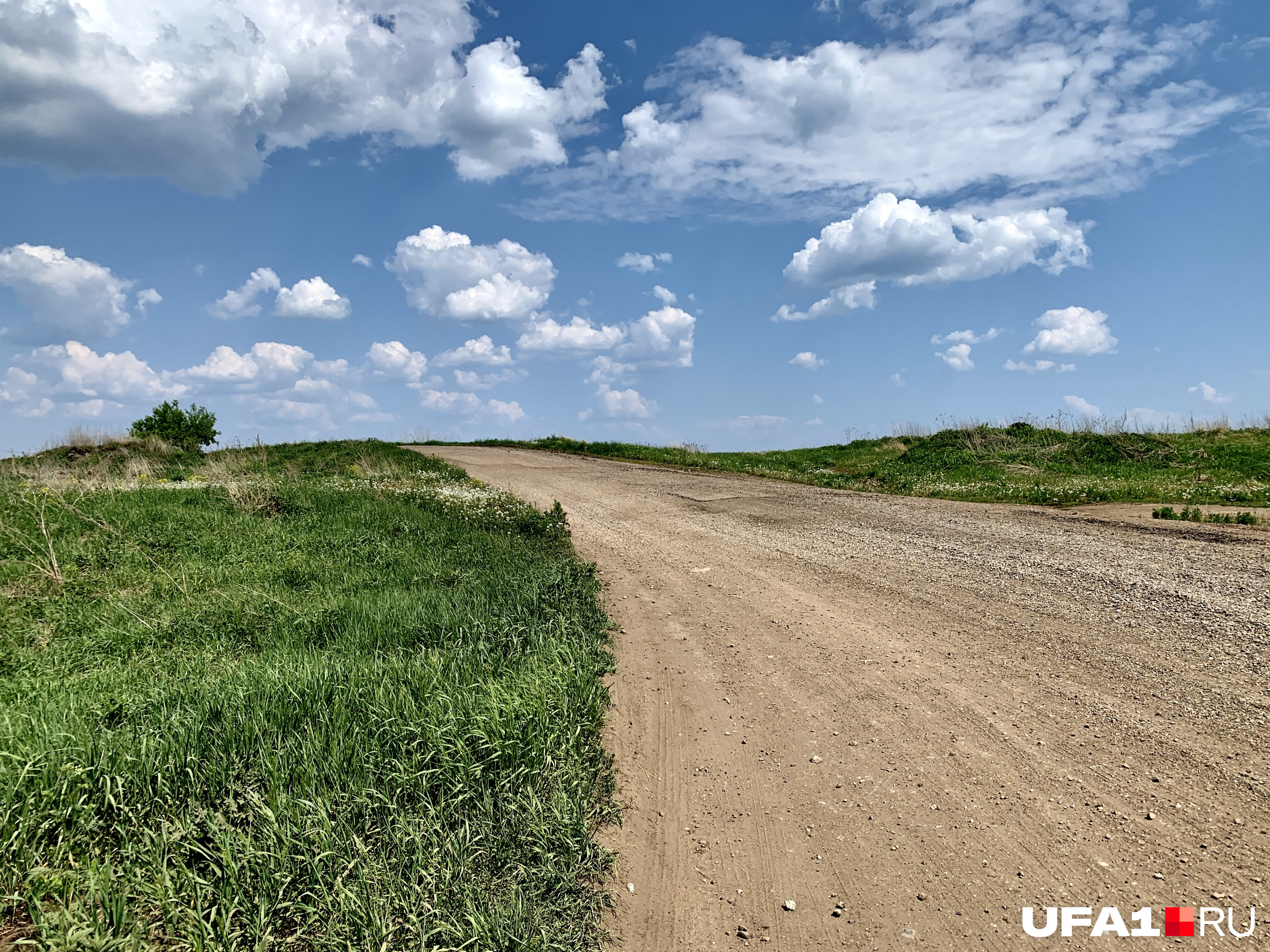Дорога от пруда в село