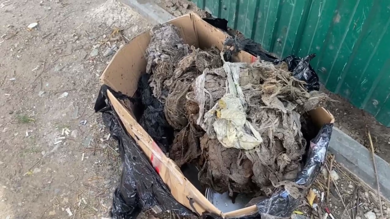 «Унитаз — не мусорка!»: в энгельсском водоканале отчитались об устранении засора и течи в центре города