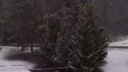 «Ничего не предвещало»: апрельский снег накрыл новосибирский поселок — видео