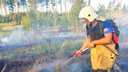 Локализовали: гигантский пожар в Тольятти уничтожил 71 гектар леса