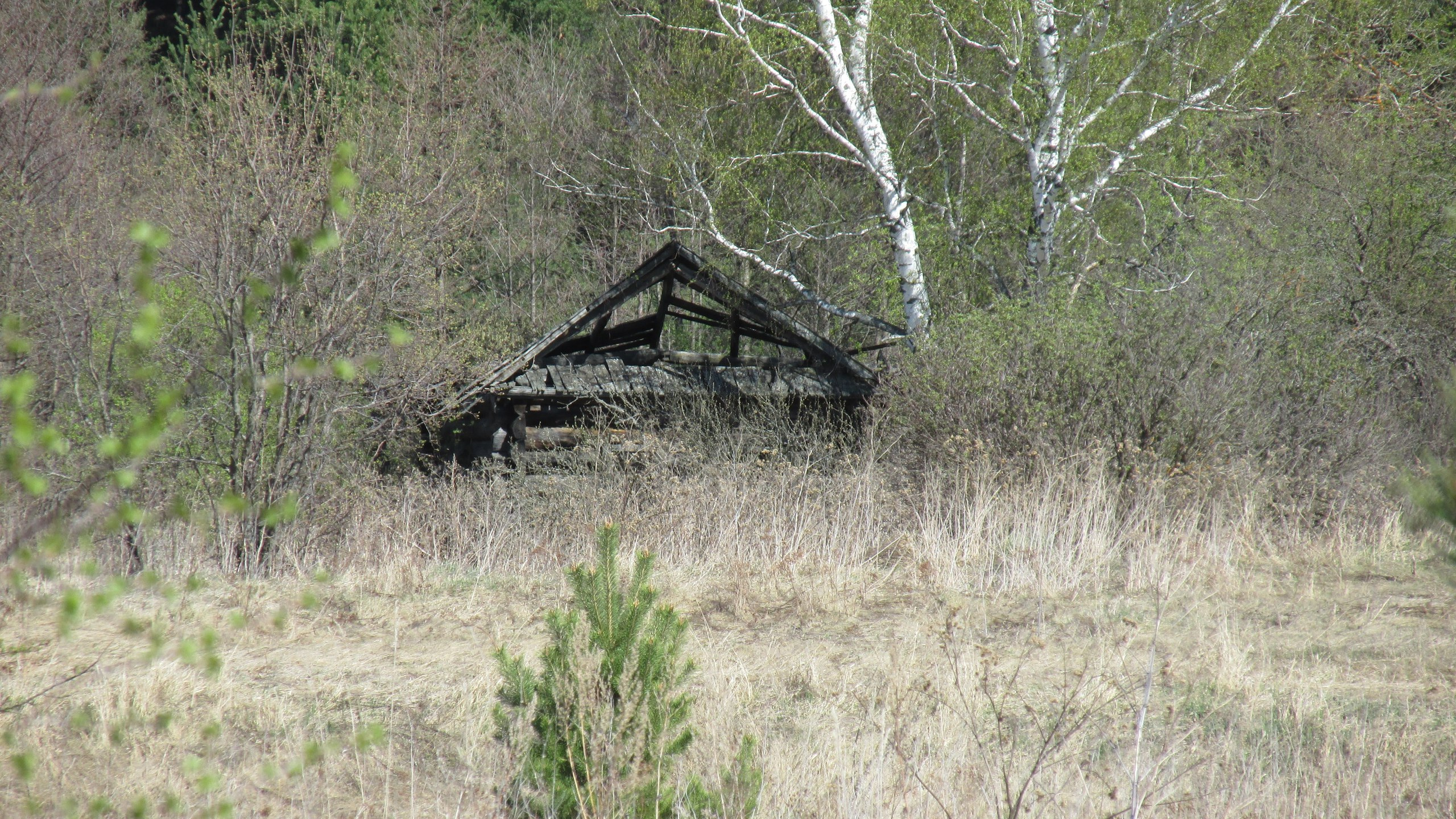 В Ульяновске раскрыли убийство грибников, совершенное 14 лет назад