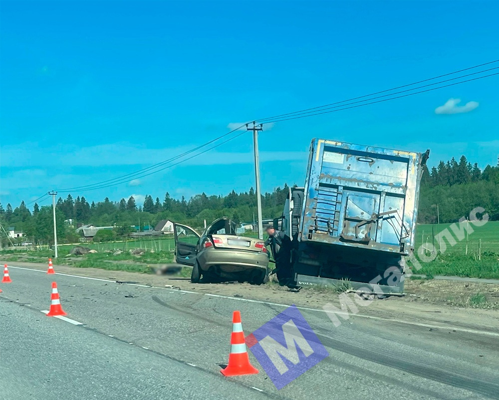 ДТП и ЧП Ленинградская область: Водитель автомобиля погиб в лобовом ДТП с  самосвалом в Волосово - 23 мая 2023 - ФОНТАНКА.ру