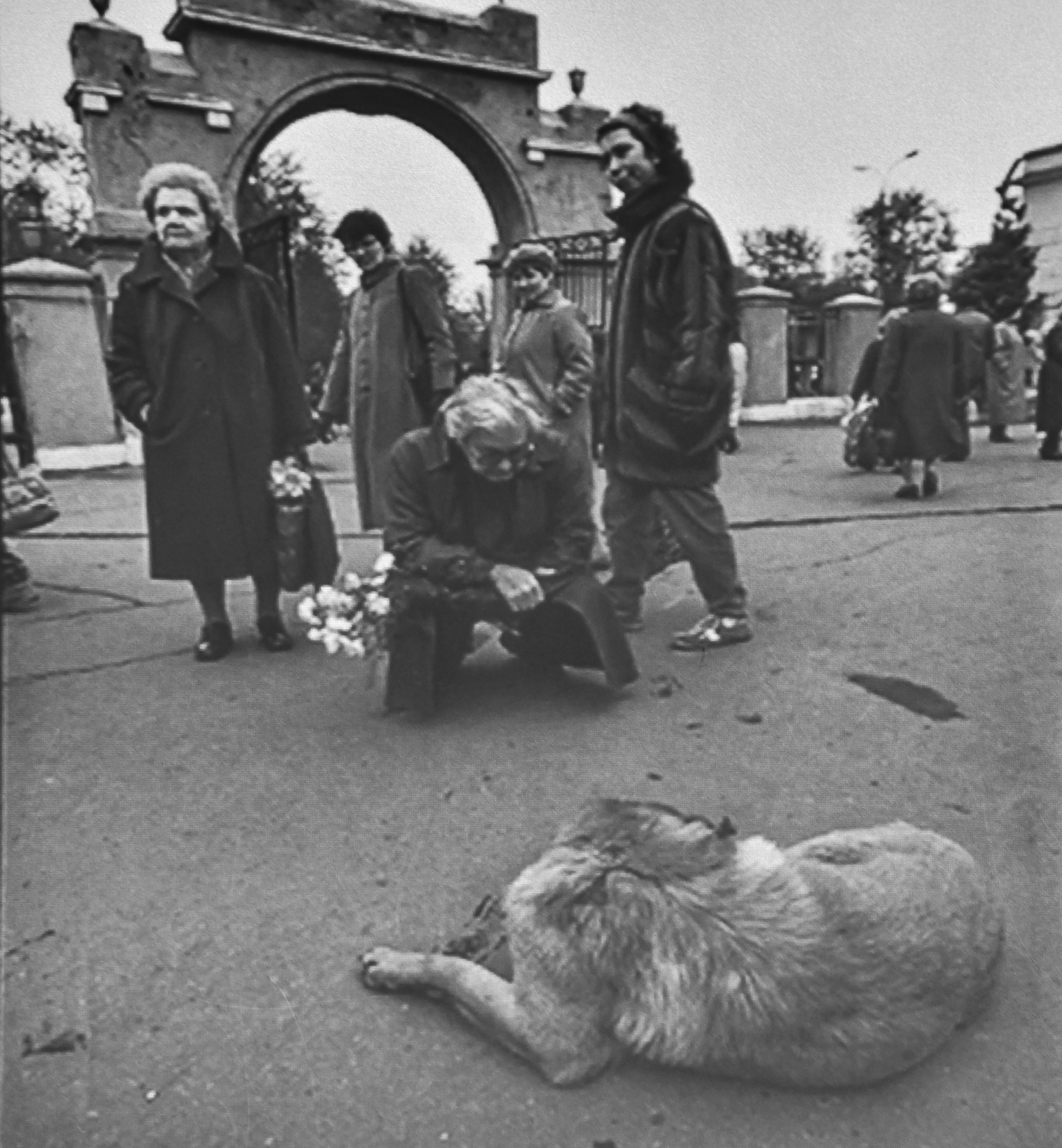 Юрий Любимов с бездомной собакой возле кладбища. 1988 год
