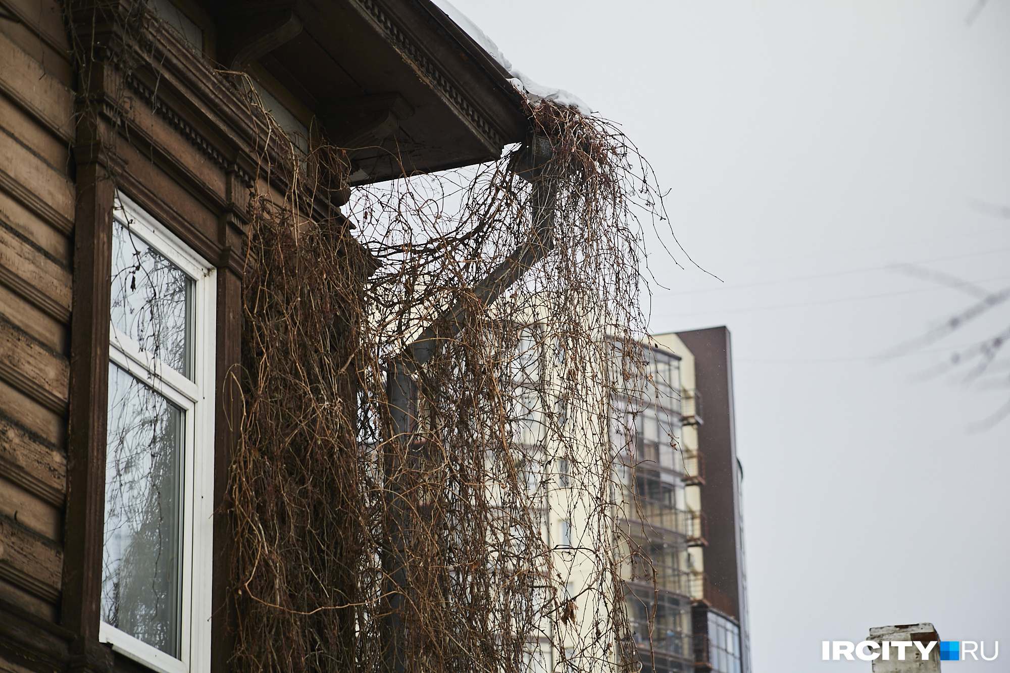 Пожухлые растения будто шепчут: «Ничего-ничего, через несколько месяцев мы снова покажем себя во всей красе!» Пожухлые растения будто шепчут: «Ничего-ничего, через несколько месяцев мы снова покажем себя во всей красе!»