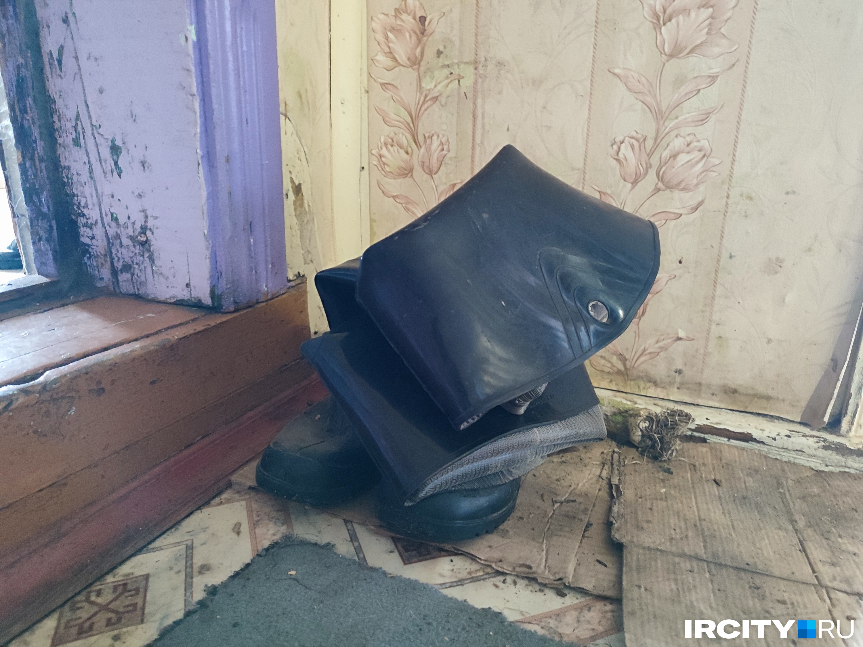 Те самые болотники, которые спасли поросенка от голода Те самые болотники, которые спасли поросенка от голода