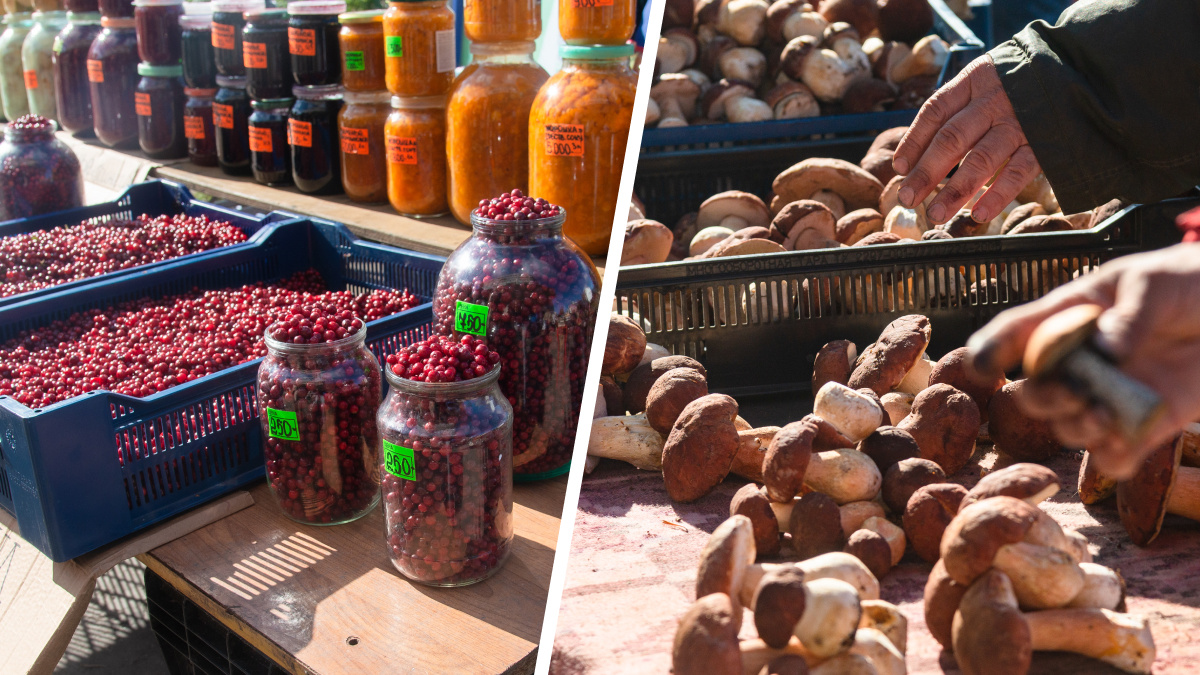 Бруснику ждем, а лисички — последние: какими грибами и ягодами торгуют на рынках Архангельска